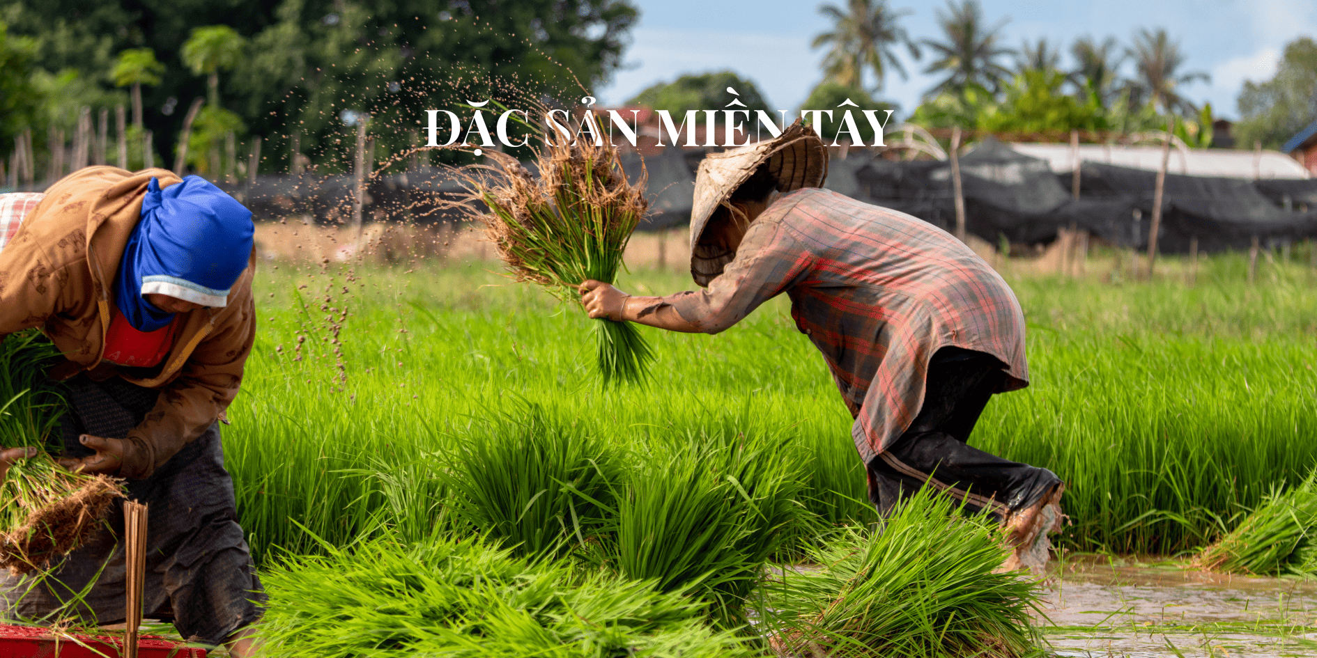 Đặc sản miền tây